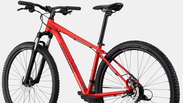 Trail 7 XL - Image 4
