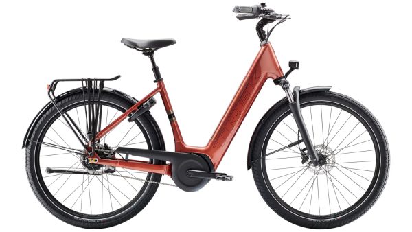 District+ 4 Coaster Lowstep XL 800Wh