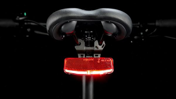 Dual Sport+ 2 LT XL - Image 9
