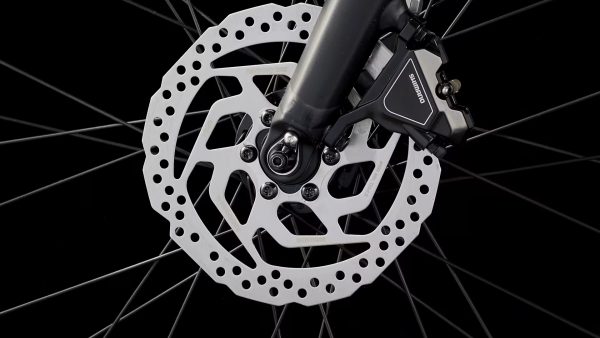 Dual Sport+ 2 Midstep LT XL - Image 10
