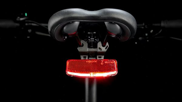 Dual Sport+ 2 Midstep LT XL - Image 9