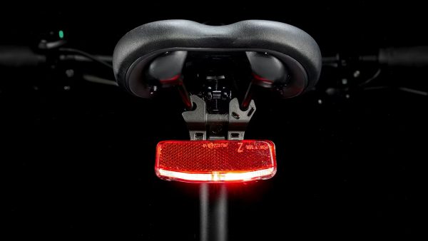 Dual Sport+ 2 LT S - Image 9