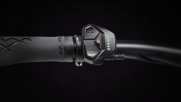 Dual Sport+ 2 Midstep LT XL - Image 6