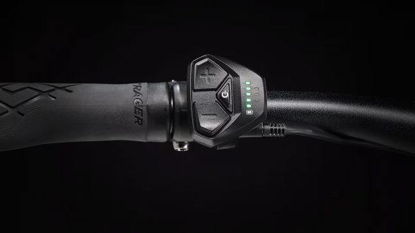 Dual Sport+ 2 LT S - Image 6
