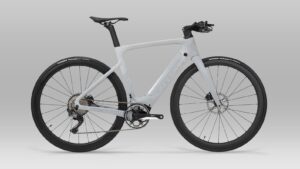 Bewatt Urban Racoon